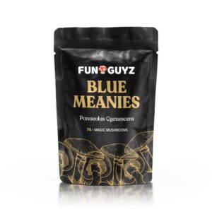 Blue Meanies – Magic Mushrooms
