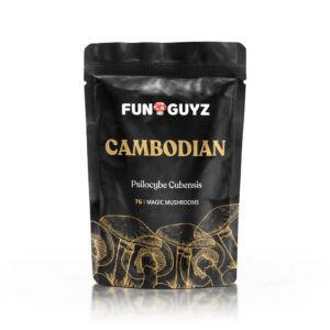 Cambodian – Magic Mushrooms