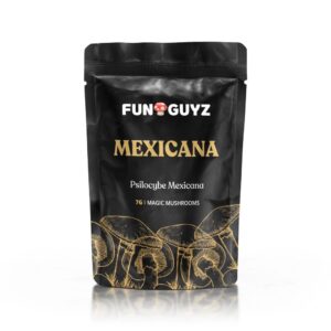 Mexicana – Magic Mushrooms
