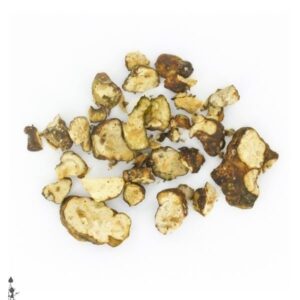 Buy Hollandia truffles Colorado