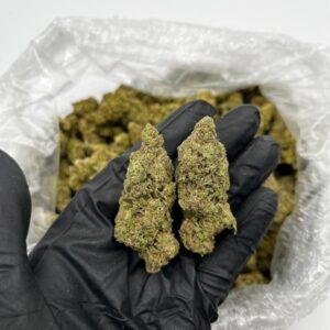 Buy Jack Skellington Online | Top Quality Sativa Hybrid For Sale