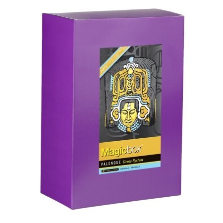 Buy Magicbox Super Gold