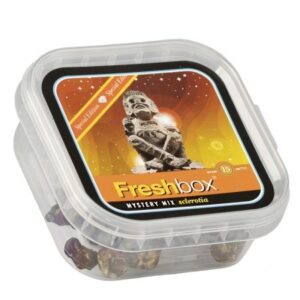 Buy Mystery Mix Orange