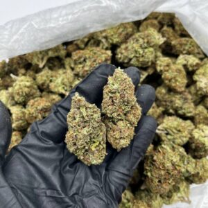 Buy Tropical Cherry Online | Premium Flower For Sale
