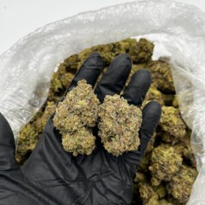 Buy White Trufflez Online | Premium Hybrid Strain | Chemsfine